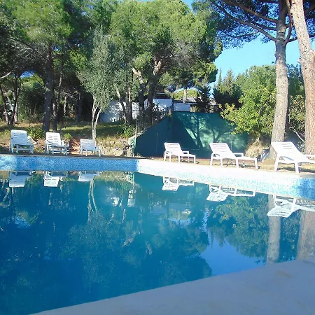 064 Co - Cinto Tatil Evi *