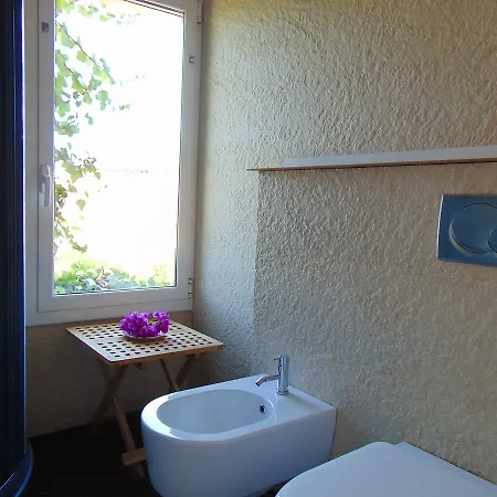 064 Co - Cinto Tatil Evi